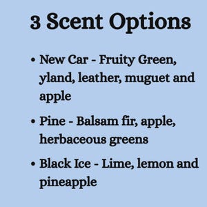 Car Air Freshener Retro Car Tag Goodness Scent Citrus Fragrance Hanging Rearview Mirror Decoration Vintage Automobile Scent Black Ice Fruit image 9