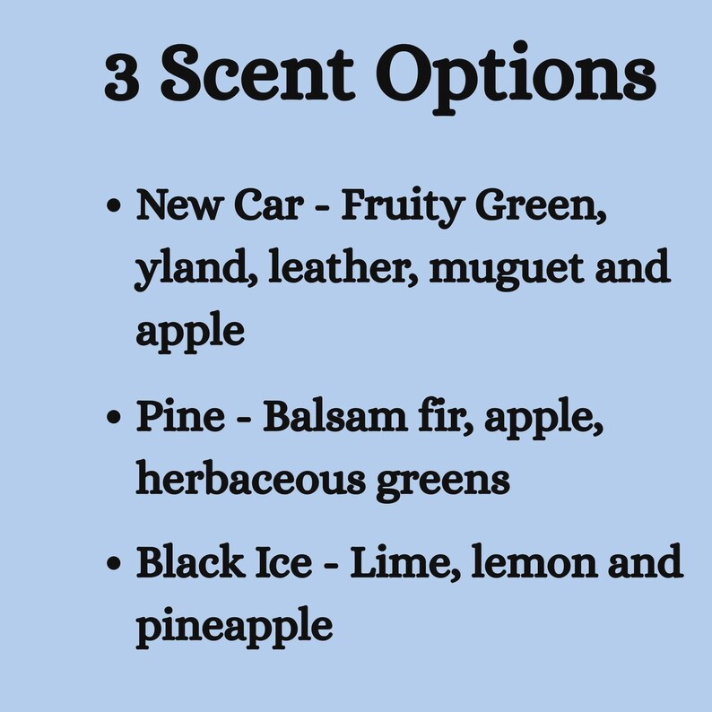 Car Air Freshener Retro Car Tag Goodness Scent Citrus Fragrance Hanging Rearview Mirror Decoration Vintage Automobile Scent Black Ice Fruit image 9