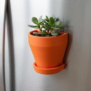 Maceta magnética para pared, escritorio y nevera: moderna maceta para suculentas impresa en 3D