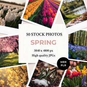 Spring Stock Photos MRR PLR | Instagram Post Faceless Reel Cover Website Blog Digital Marketing