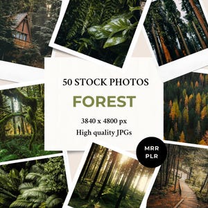 Forest Stock Photos MRR PLR | Nature Aesthetic | Instagram Post Faceless Reel Cover Website Blog Digital Marketing