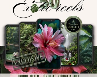 Reels by Visualia Art | 50 EXOTIC REELS | Social Media Content Creation Branding Website