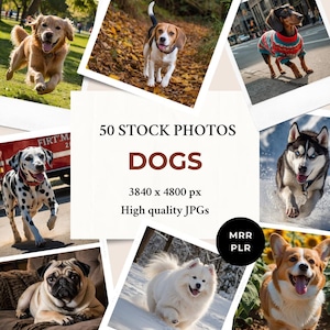 Dogs Stock Photos MRR PLR | Nature Animals Aesthetic | Instagram Post Faceless Reel Cover Website Blog Digital Marketing