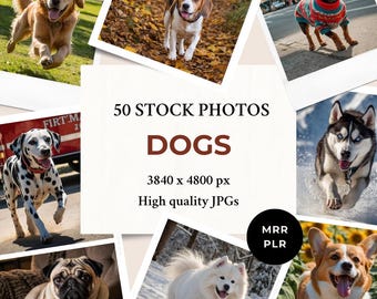 Honden Stock Foto&#39;s MRR PLR | Natuur Dieren Esthetisch | Instagram post anonieme haspelomslag websiteblog digitale marketing