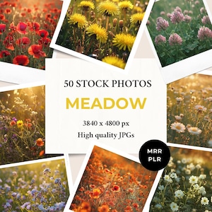 Meadow Stock Photos MRR PLR | Nature Flowers Aesthetics | Instagram Post Faceless Reel Cover Website Blog Digital Marketing
