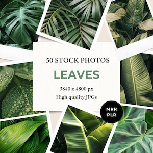Leaves Stock Photos MRR PLR | Plant Lady Nature | Instagram Post Faceless Reel Cover Website Blog Digital Marketing