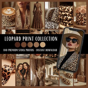 Leopard Print Collection | 100 Stock Photos Bundle | Social Media Content Creation Branding Website