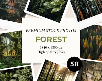 Forest 50 Stock Photos | Pakiet zdjęć do marketingu w mediach społecznościowych i budowania marki