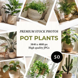 Pot Plants 50 Stock Photos | Images Bundle For Social Media Marketing & Branding