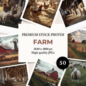 50 fotos de fazenda | Pacote de imagens para marketing e branding em mídias sociais