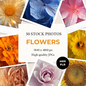 Flowers Stock Photos MRR PLR | Pastel Aesthetics | Instagram Post Faceless Reel Cover Website Blog Digital Marketing