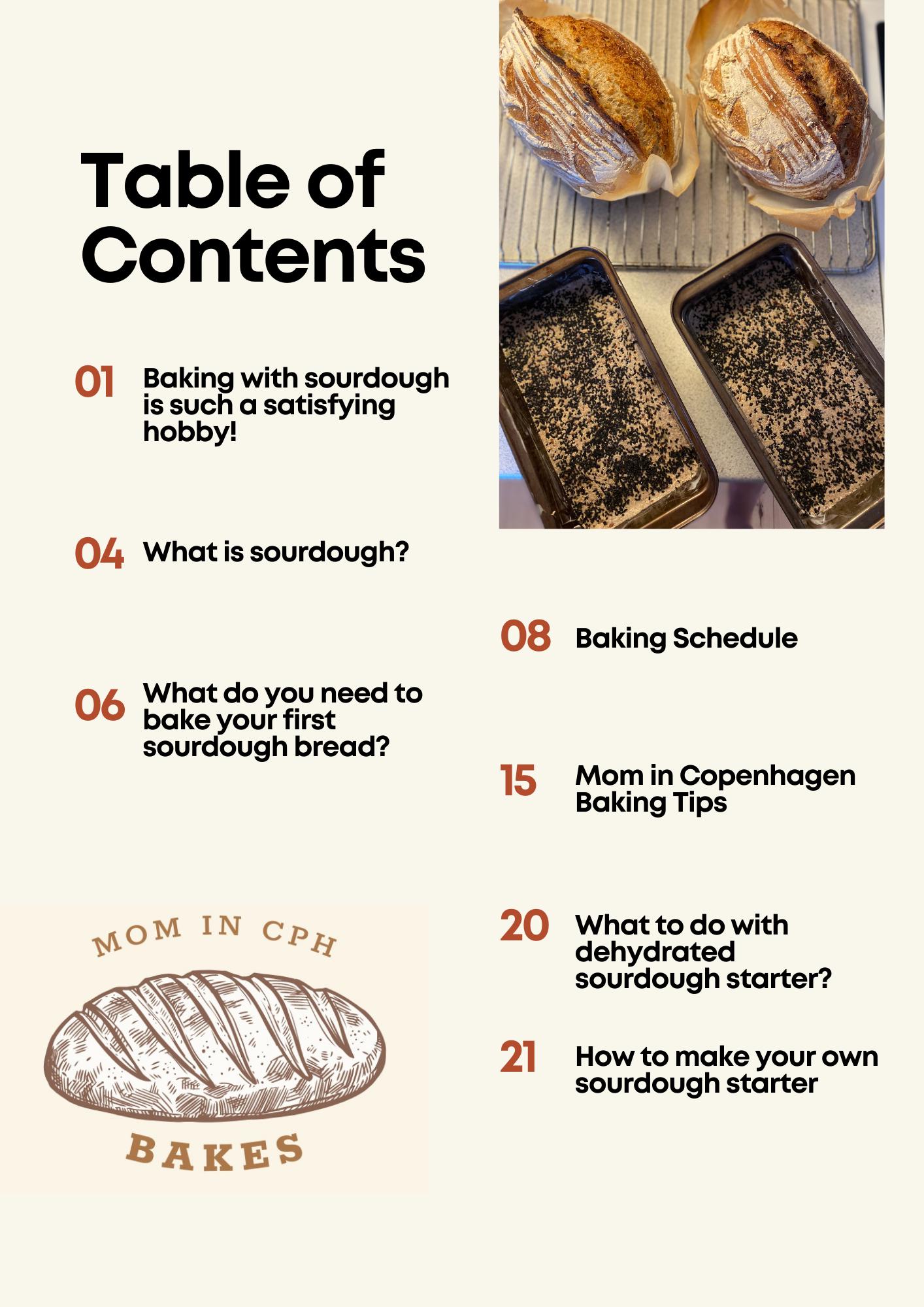 AN ABSOLUTE BEGINNER S GUIDE TO SOURDOUGH STARTER AND BREAD visual data 5