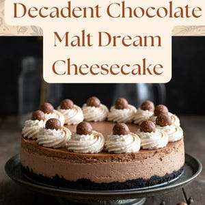 Decadent Chocolate Malt Dream Cheesecake, Gourmet Chocolate Cheesecake, Chocolate Lovers Dessert, Birthday Treat, Luxury Chocolate Dessert