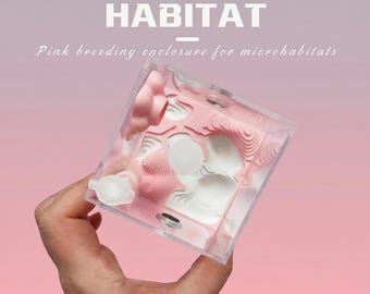 Mini Pink Jumping Spider Enclosure | Portable Acrylic Terrarium with Cloud Hide & Built-in Hydration Station