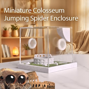 Puede incluir: Un recinto rectangular transparente con el texto "Miniature Colosseum Jumping Spider Enclosure". En el interior hay una réplica en miniatura del Coliseo, hierba verde y dos puertos de ventilación blancos. El recinto está diseñado para una araña saltarina.
