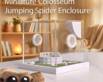 Jumping Spider Enclosure with Simulated Swallow's Nest Hide, Side-Feeding Port, and Independent Water Tank - Miniature Colosseum Design
