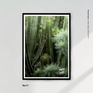 Poster Design Kaktus | Fotografie Natur