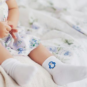 Baby Socks, Baby Shower Gift, Newborn babies gift, Baby Socks Gift Pack, Premium Baby Socks, Organic Baby Socks, Baby Gift, Gift for Baby