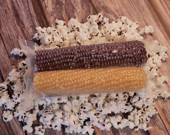 Amish Country Popcorn Microwave Popcorn on the Cob (2-Pack) | Non-GMO Cobs + Microwave Bags | Fun Snack & Gift | Traditional Healthy Snack