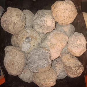 May include: A collection of rough, beige-colored rocks with a variety of shapes and sizes. Some rocks have a lighter, almost white, coating. A U.S. quarter coin is visible, providing a size reference. The rocks are piled together.