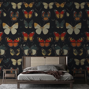 Butterfly Wall Mural - Vibrant Butterflies on Black Background Wallpaper - Peel and Stick Wallpaper | Canvas Wallpaper | Removable Wallpaper