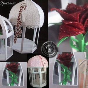 Be Our Guest Rose Dome & Box TF0092, Alle formaten beschikbaar