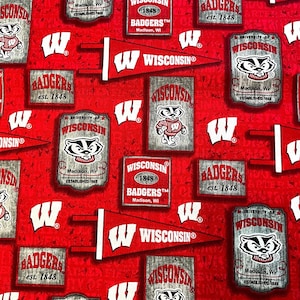 Wisconsin Vintage Pennant College Cotton