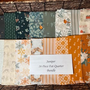 Juniper Collection from Art Gallery Fabrics 16 Piece Fat Quarter Bundle