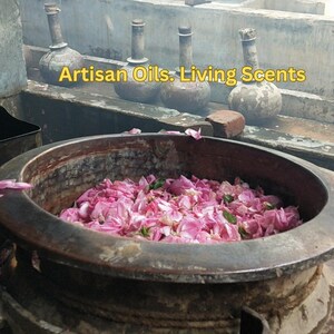 Puede incluir: Un caldero de cobre lleno de p&eacute;talos de rosas rosas, con el texto "Artisan Oils: Living Scents" en amarillo. En el fondo, varias botellas antiguas de cuello largo, posiblemente para almacenar aceite.
