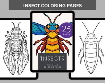 TDAH, Coloriages insectes, Coloriages insectes TDAH, Coloriages papillons, Coloriage abeille libellule, Livre de coloriage insectes