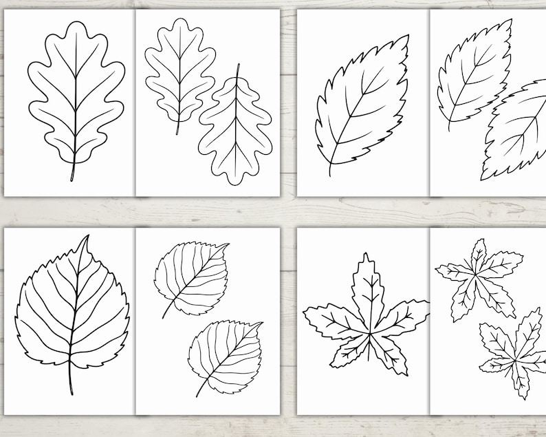 Fall Templates Bundle , Autumn Leaves and Animals for Crafts, DIY Fall ...