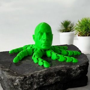 Figura articulada de The Rock Rocktopus impresa en 3D (¡elige tu color!)