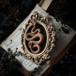 Gotische Dekoration Kuriositätenkabinett Halloween Hexe Präparatoren Nassexemplar Boho Präparatoren Insekt unter Vintage-Schädelglocke