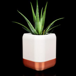 QUADRA Self-Watering Planter