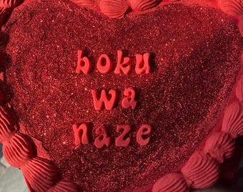 Red hot Bakuchiku fake cake purse buck tick fan made merch
