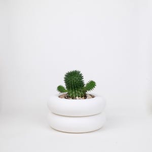 Double-Donut | Modern Fun Colorful Stacking Planter Pot | Contemporary Home Decor | Drainage Pot | Succulent Cactus