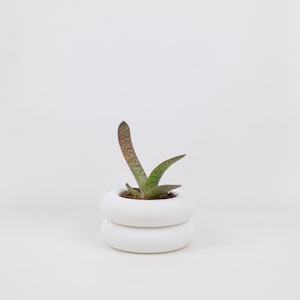 Double-Donut Mini | Modern Fun Colorful Stacking Planter Pot | Contemporary Home Decor | Drainage Pot | Nursery Pot | Succulent Cactus