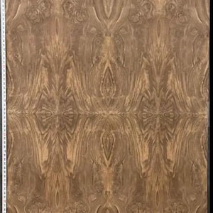 Claro Walnut Cluster Burl