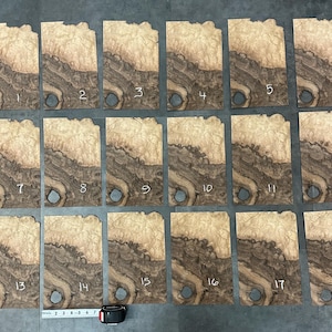 Quilted Claro Walnut Burl 7.5” x 12” x 1/42”