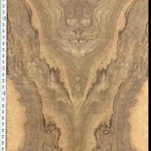 Claro Walnut Cluster Burl  23” x 65 1/2” 2 Tile Veneer Face Sheet on 20 mil paper backer.