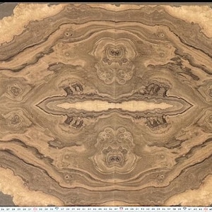 Claro Walnut Quilted Cluster Burl 39” x 93” 4 Tile Book and End Matched Face Sheet