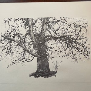 Andrew Wyeth, New Leaves. Published lithograph print Mid 20th century Early Spring Tree | Large Format | Wall Art framable