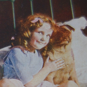 Mädchen und ihr Mops Gute Freunde Stereopticon Stereoscope Farbschieber Retro Sehr guter Zustand 3D T W Ingersoll Stil Fotografie Hunde Bestie