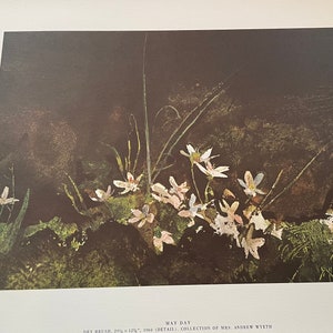 Andrew Wyeth, May Day | Published lithograph print Mid 20th century | Spring Flowers | Large Format | Wall Art framable