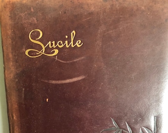 Lucile by Owen Meredith 1888 early edition Thomas Crowell publisher. Leather Bound with decoration Rare Illustrated Beautiful copy