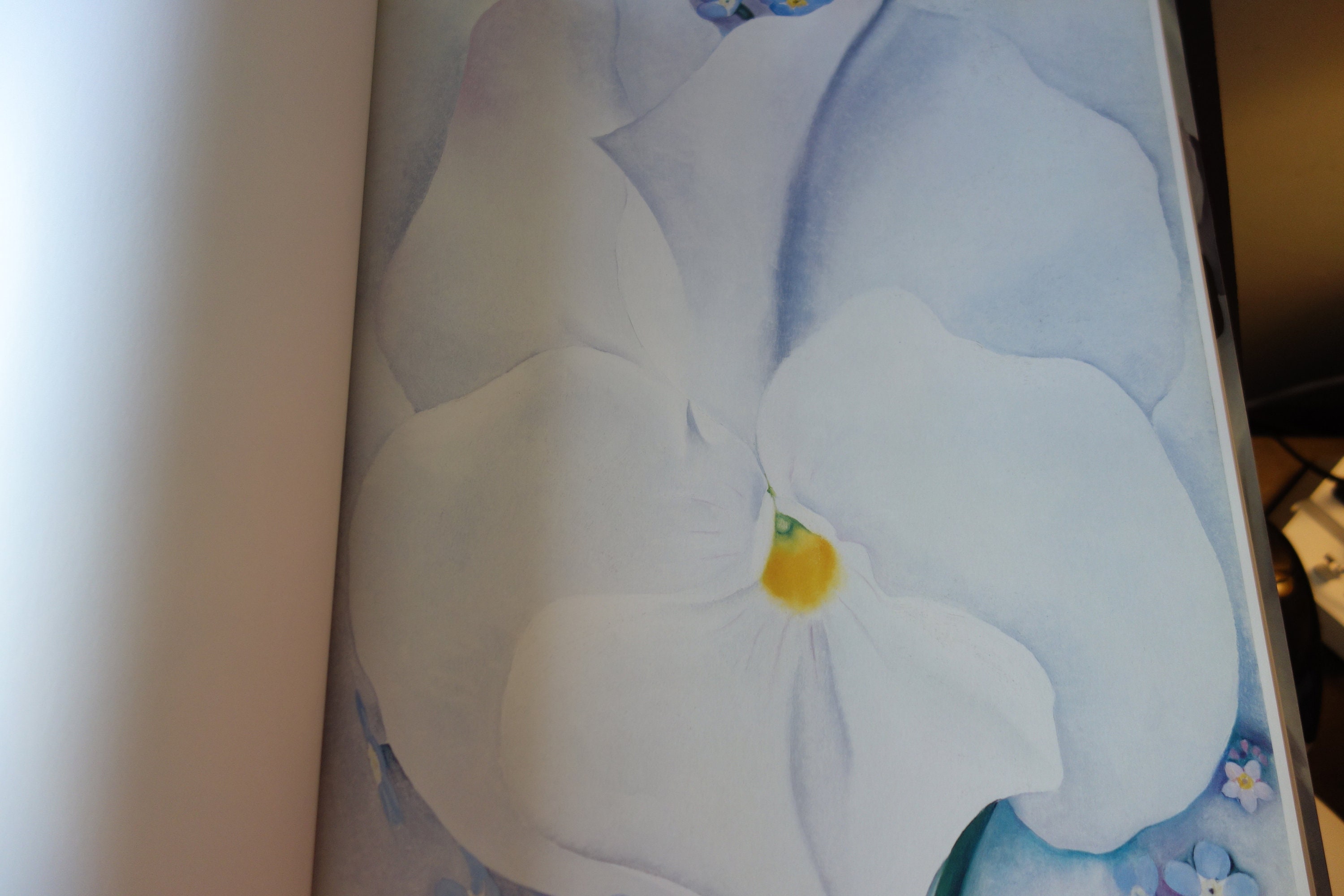 Georgia O'keeffe Book. One Hundred Flowers  Large   Etsy