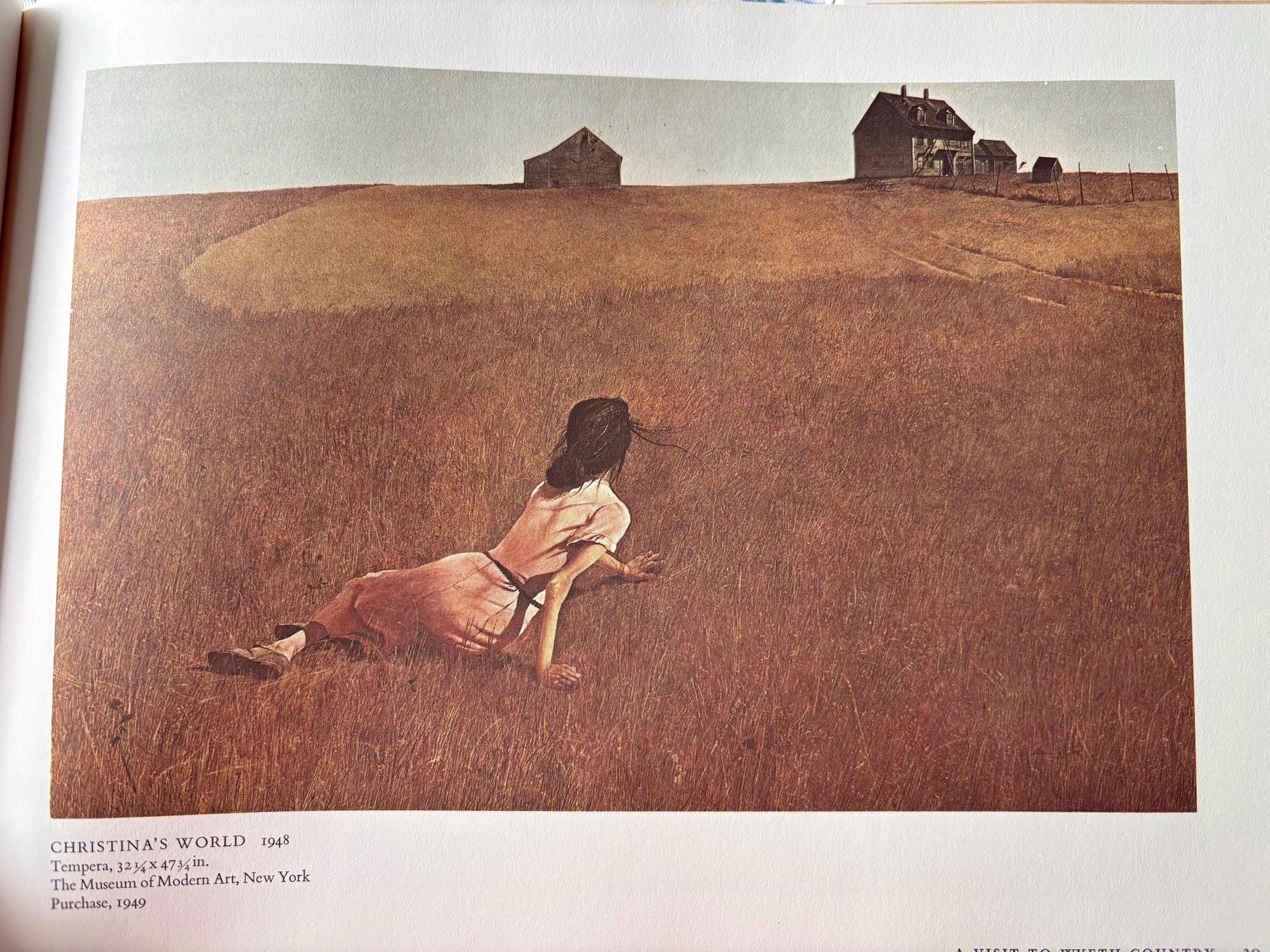 Rare Vintage 1973 Wyeth Rare Vintage 1973 Wyeth