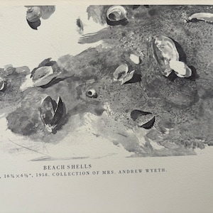 May include: A monochrome watercolour painting depicting beach shells. The artwork shows several open shells and other marine elements. The text "BEACH SHELLS" is visible, along with the dimensions 41.28 x 16.51 cm and the year 1958.