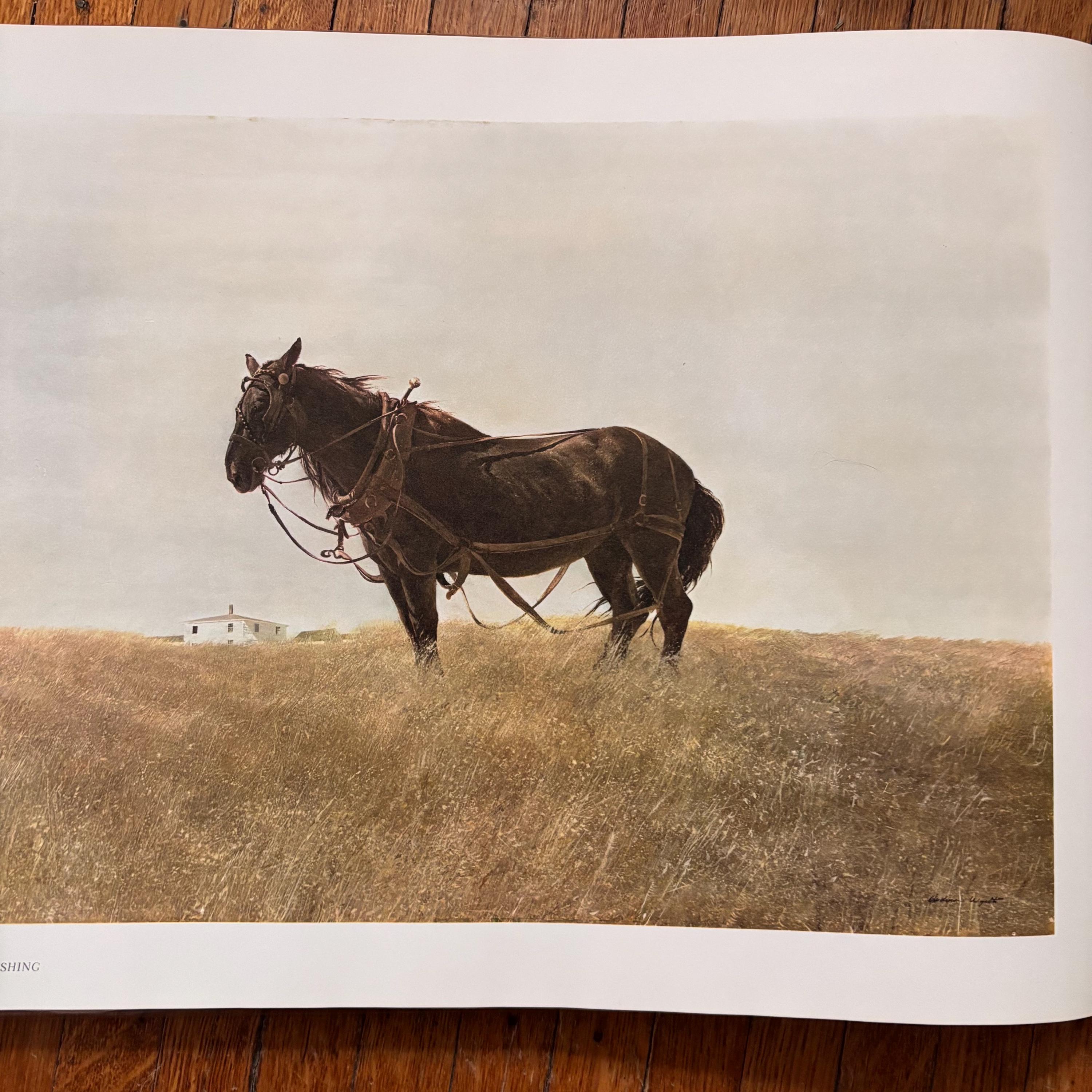 Andrew Wyeth, South Cushing | Published Lithograph Print | Horse