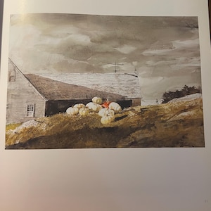 Könnte beinhalten: Aquarellmalerei einer Scheune unter einem bewölkten Himmel. Eine Ansammlung weißer Kürbisse liegt auf einem grasbewachsenen Hügel vor der Scheune. Die Scheune hat ein braunes Dach und ein paar Fenster.